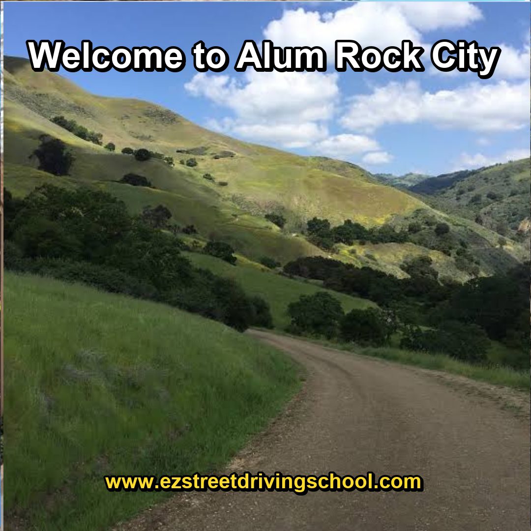 Driving Lessons in Alum Rock